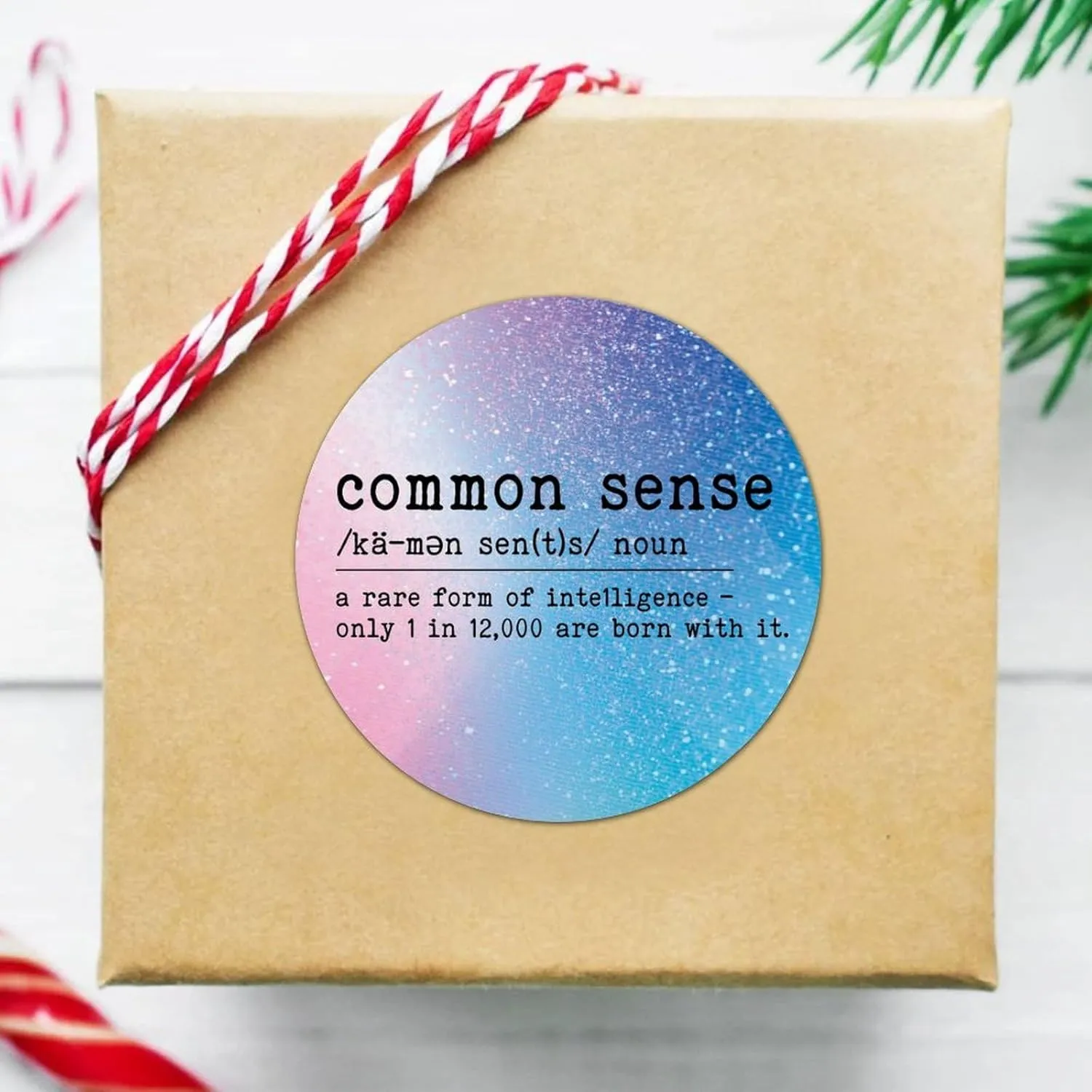 Common Sense Definition Labels Stickers,common Sense Sticker for Laptop Envelope Seals Jar Water Bottles Goodie Bags Decoration Wedding Xmas Holiday Gifts 4"", 2od39bkths1r