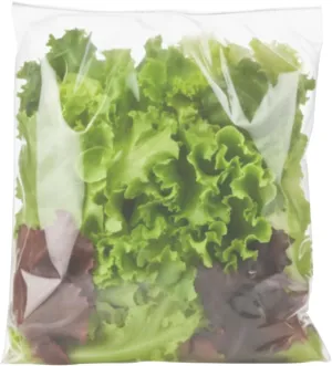 FlavorSaver Food Storage Bags 1 Gallon Size – 7 Day Bags for Storing Meats, Produce, Soups, Sauces, and More – Non-Toxic, Freezer Safe - 850 Pack, 10 x 20”