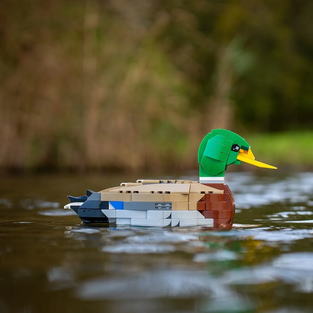 Mallard Mini Building Blocks and Construction Toy, Collectible Bird-Themed Model to Build and Display, Great Gift for Birthdays, Christmas (301 PCS)