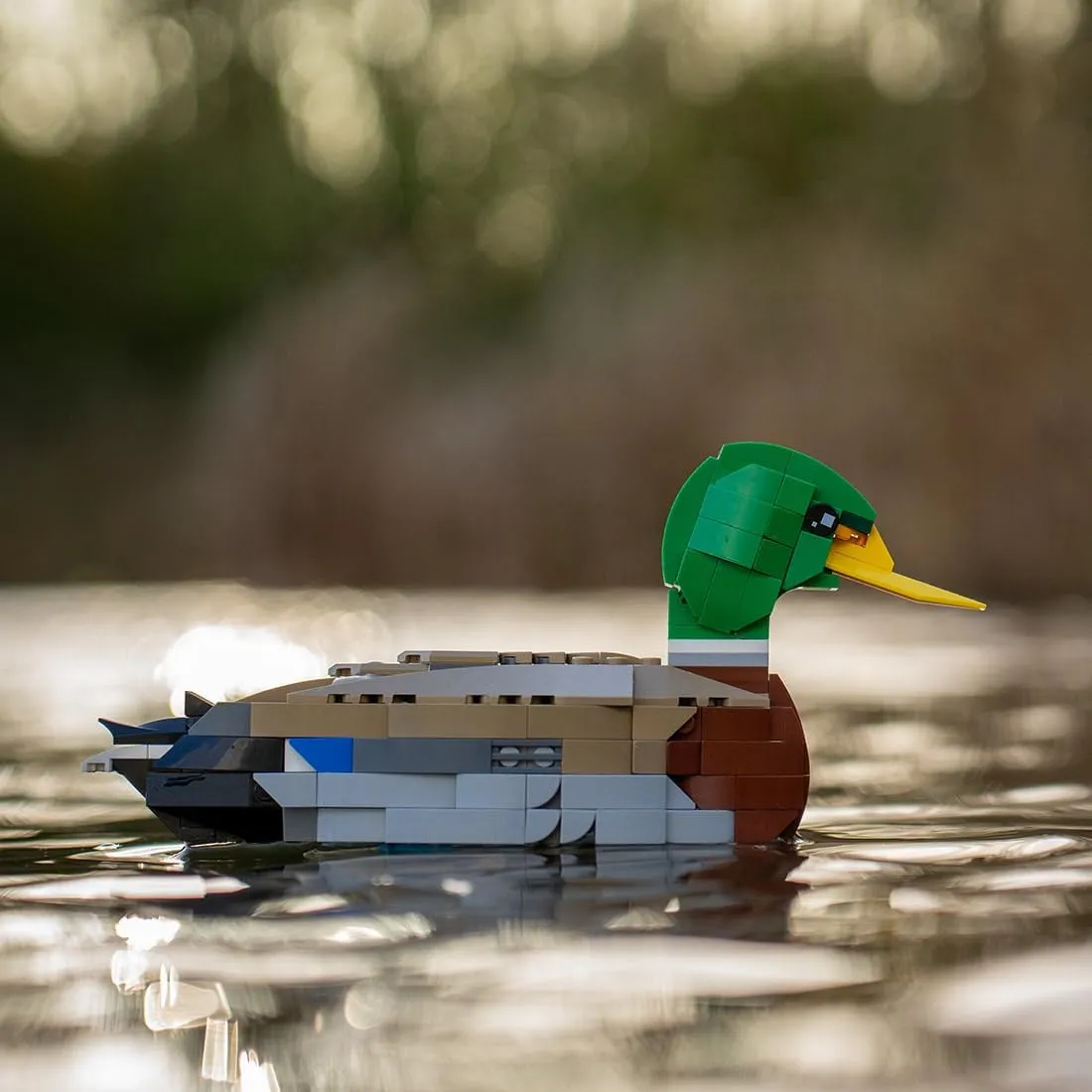 Mallard Mini Building Blocks and Construction Toy, Collectible Bird-Themed Model to Build and Display, Great Gift for Birthdays, Christmas (301 PCS)