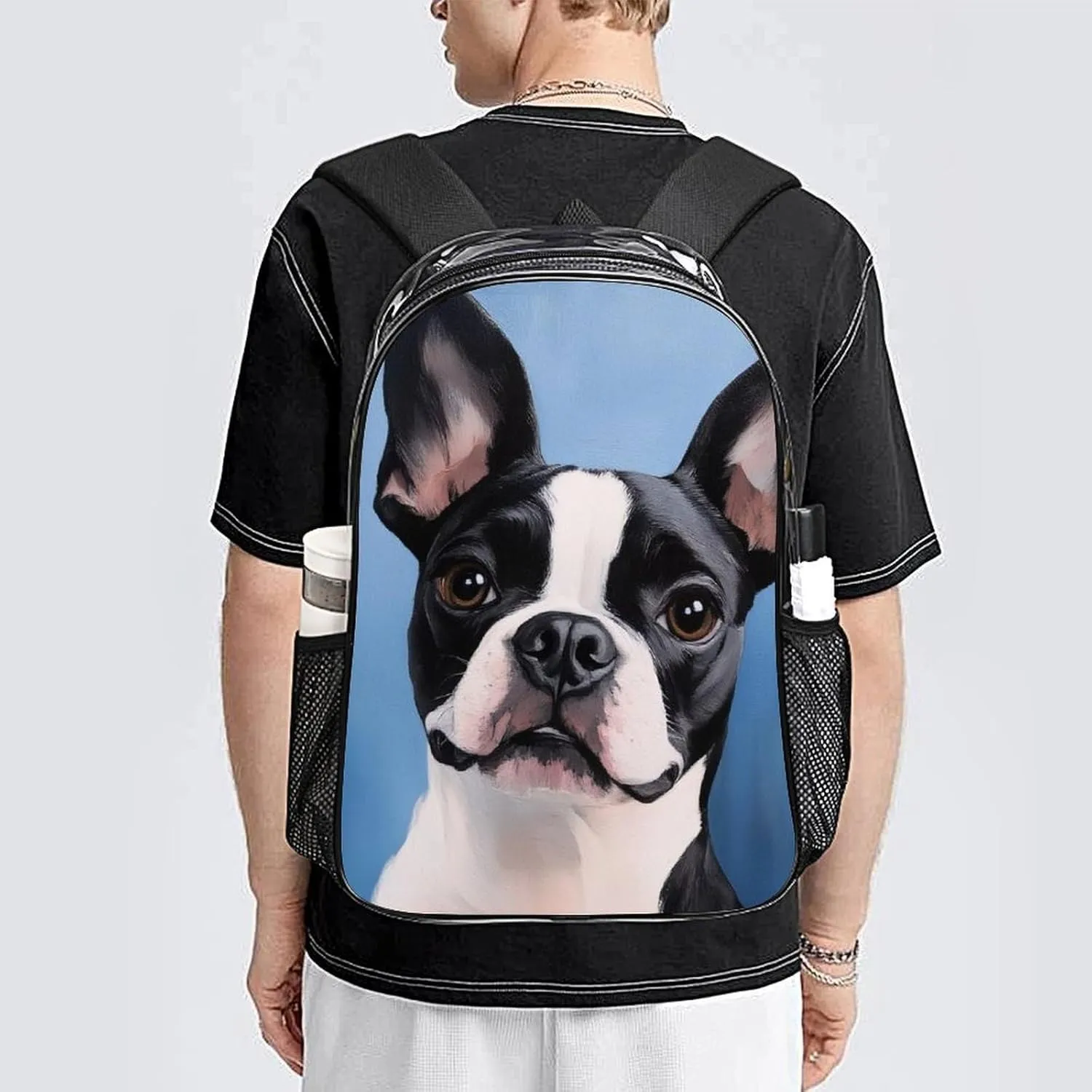 Transparent Daypack Backpack for Trekking Picnic Walking Cycling - Large Capacity Anti-Theft Multipurpose Shoulder Bag, Boston Terriers Painting Casual Daypack